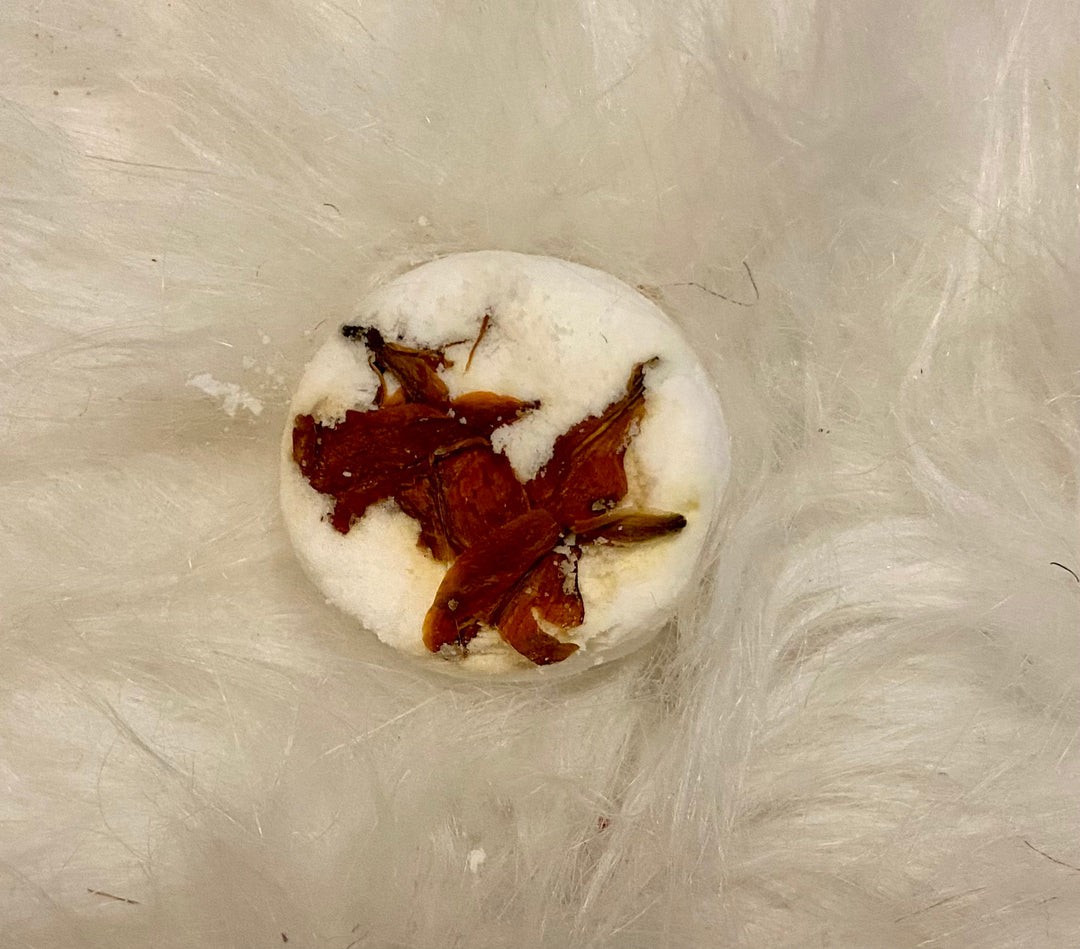 Eucalyptus & Mint Scent Shower Steamers with Dried Lily Flowers - UNDFIND